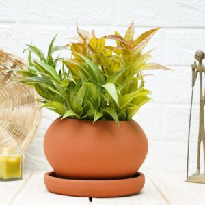 Terracotta Clay Pots for Plants, Gamla, Gamley, Mud Earthen Mitti Pot (Pack of 1)