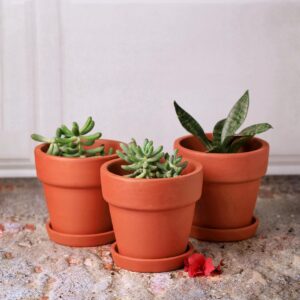 THE HANDICRAFTIAN Terracotta Clay Plant Pot 4.5 Inch Pack of 2 | Decoration for Home, Garden Gamla for Balcony Small